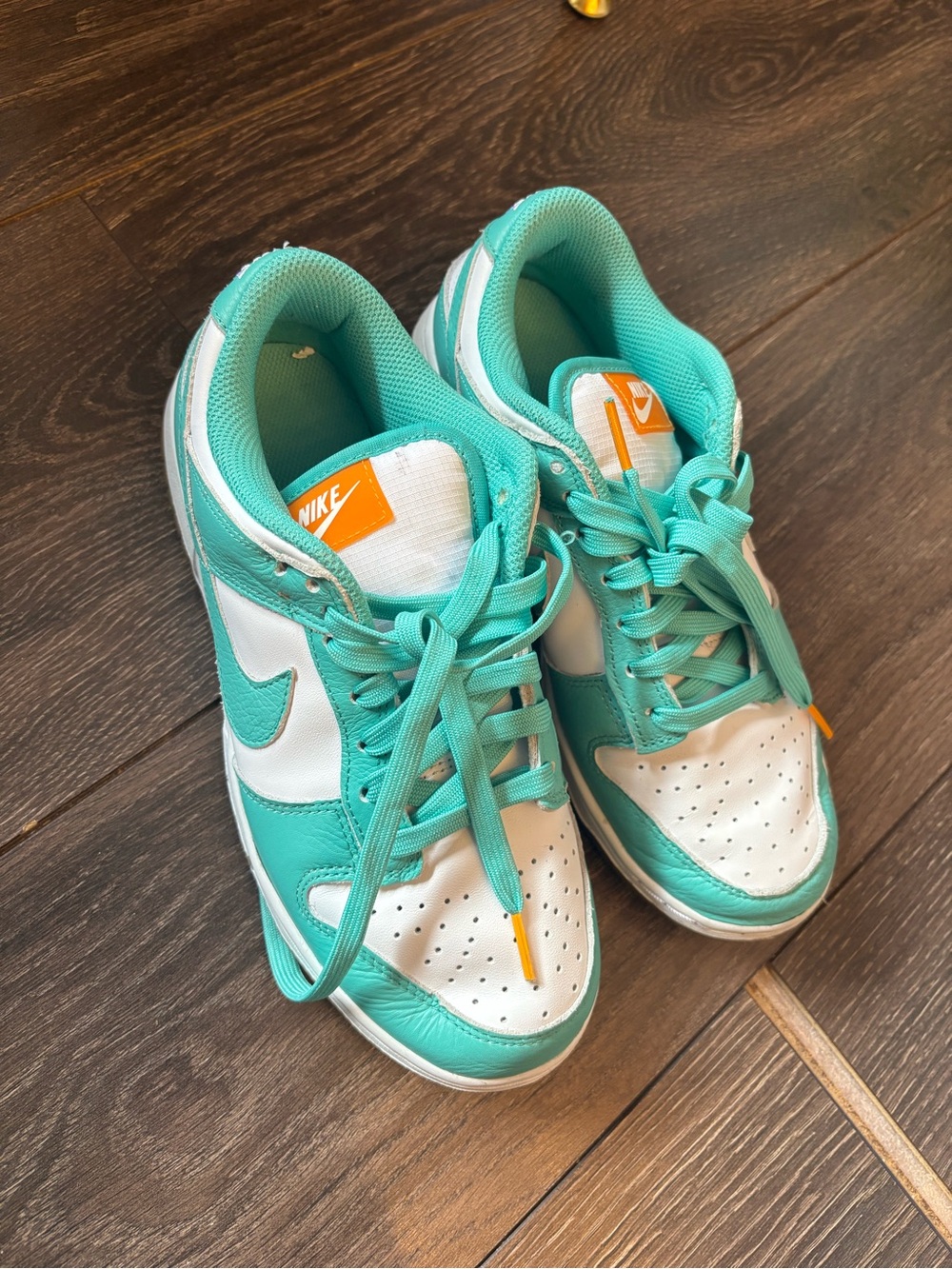 Nike Dunks Teal Zeal